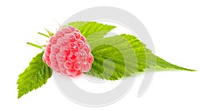 Summer red ripe raspberries with green leaves on a white background