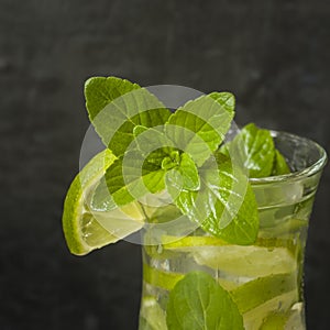 Summer refreshing drinks lemonade or cocktail Mojito with lime fresh mint blueberry ice. Dark wall