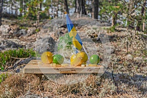 Summer refreshments. Glass of water, lemons, limes and mint on the background of scandinavian nature and swedish flag. Different w