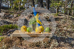 Summer refreshments. Glass of water, lemons, limes and mint on the background of scandinavian nature and swedish flag. Different w