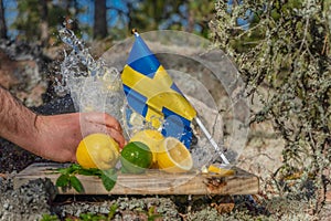 Summer refreshments. Glass of water in a man`s hand. Lemons, limes and mint on the background of scandinavian nature and swedish