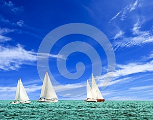 Summer regatta photo