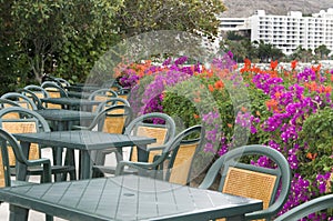 Summer restaurant in terrace