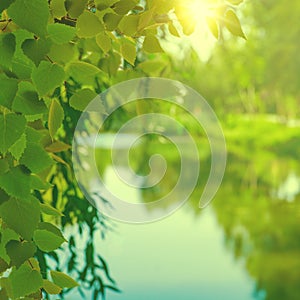 On the summer river, abstract seasonal backgrounds