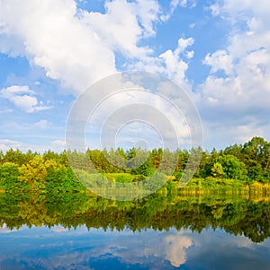 summer river with forest on coast