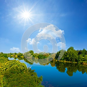 summer river with forest on coast at sunny day