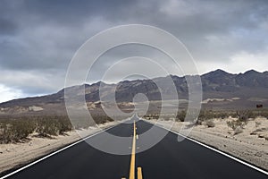 Summer road through the Nevada  desert