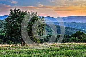 Summer rural hilly landscape with tree and forest after sunset. Horna Suca, Slovakia