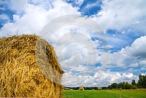 Summer rural landscape