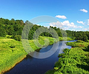 Summer rural landscape