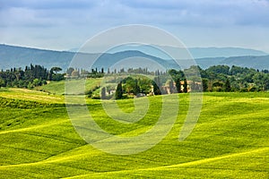 Summer rural landscape