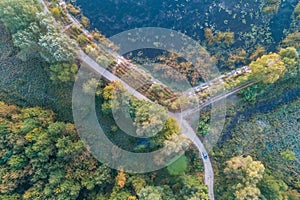 Summer rural landscape. Aerial view of the country road, a row of trees and lake