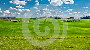 summer rural landscape. agricultural hilly field with a small hamlet, covered with green grass under a blue cloudy sky