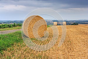 Summer rural landscape, banner - view of agricultural fields after harvesting
