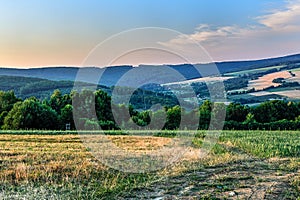 Summer rural landscape with field and forest at sunset.