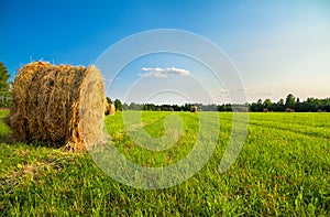 Summer rural landscape with a field and hay