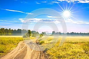 Summer rural landscape with a field, sunrise and road