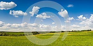 Summer, rural landscape. The field of yellow dandelions and on the back background a blue sky with white heap clouds. Panorama.
