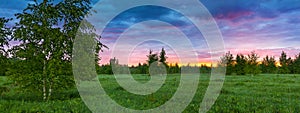 Summer rural landscape with forest, a meadow and fog at sunrise