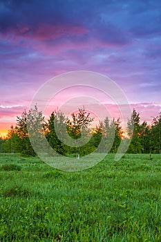 Summer rural landscape with forest, a meadow and sunrise