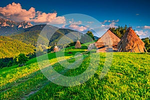 Summer rural landscape with hay bales, Brasov region, Transylvania, Romania