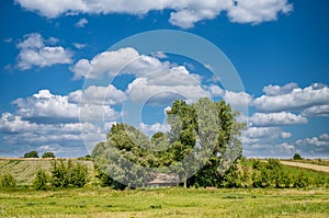 Summer rural landscape with lonely abandoned hut among the trees. Blue sky with clouds background