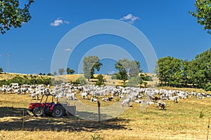 Summer rural landscape over Val d`Agri, Basilicata