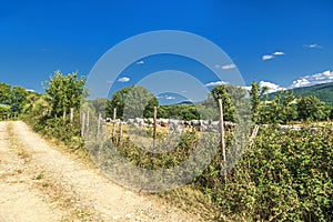 Summer rural landscape over Val d`Agri, Basilicata