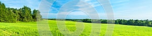 Summer rural landscape a panorama with a field and the blue sky