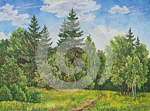 Summer rural landscape in Russia. A field and forest, a high grass. Original oil painting on canvas.
