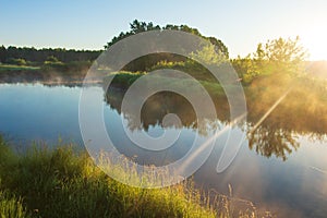 Summer rural landscape. Sunny morning on river. Scenic view on riverside. River nature in sunlight