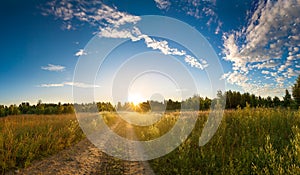 Summer rural landscape with sunrise, fog and the road