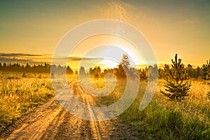 Summer rural landscape with sunrise and the road