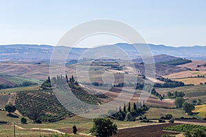 Summer rural landscape with trees, fields, meadows and hills in the background, of the traditional farm house in Tuscany, Italy