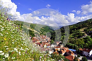 Summer rural landscape with the village photo