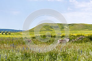 Summer rural landscape with yellow-green meadows, a hill against the blue sky.