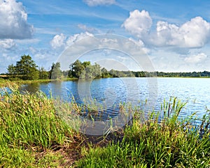 Summer rushy lake