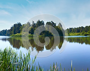 Summer rushy lake