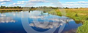 Summer rushy lake panorama