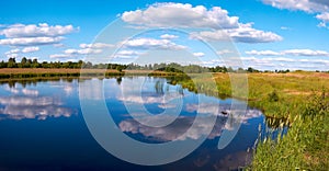 Summer rushy lake panorama