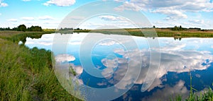 Summer rushy lake panorama