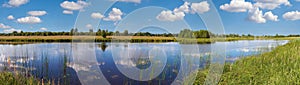 Summer rushy lake panorama view with clouds reflections