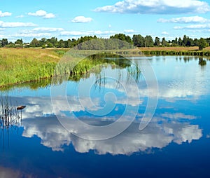 Summer rushy lake view