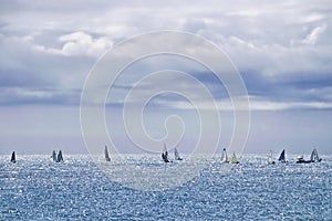 Summer Sailing - Lyme Regis