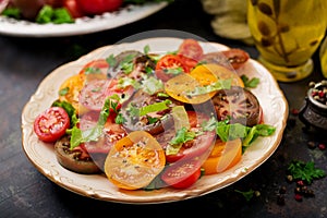 Summer salad of tomatoes of different colors with green herbs