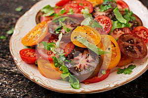 Summer salad of tomatoes of different colors with green herbs