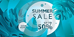 Summer sale banner background vector for promotion your items. With tropical leaves on blue color