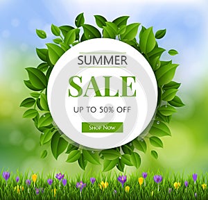 Summer Sale Banner With Leaves Background