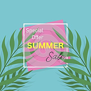 Summer sale banner. Poster with palm leaves. Tropical background. Vector