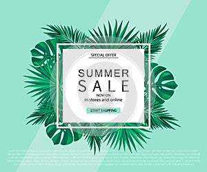 Summer sale banner, poster with tropical plants and leaves. Vector illustration.
